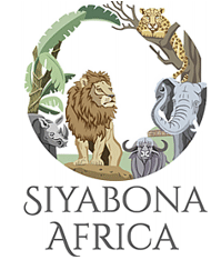 http://capetown.hotelguide.co.za