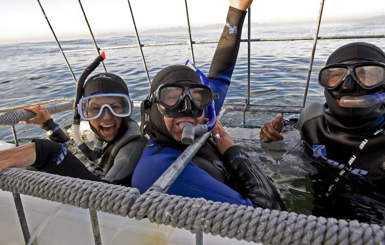 Half Day Shark Cage Diving in Cape Town